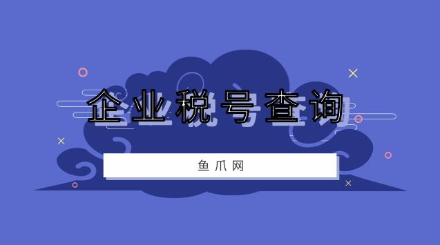 怎么查公司的纳税编码？纳税项目代码查询-图3