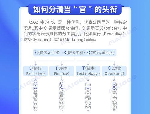 ceo coo cto cmo 分别是什么职位？cmo项目是什么-图1