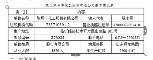 山东翔龙集团现状？技改立案项目书-图3