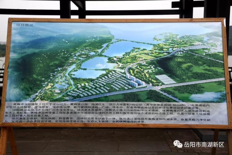 岳阳黄梅港湿地公园项目最新进展？景观建设 岳阳 项目-图1