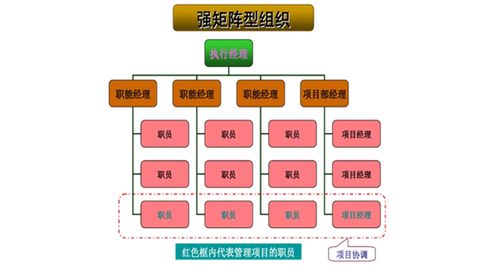 项目四制是什么？子公司 项目制-图3