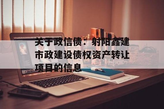 中标项目转让在什么平台？开发项目转让信息-图2