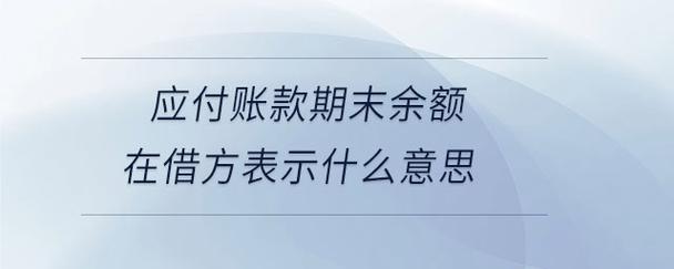 应付账款如果出现借方余额怎么办？求应付项目余额-图1