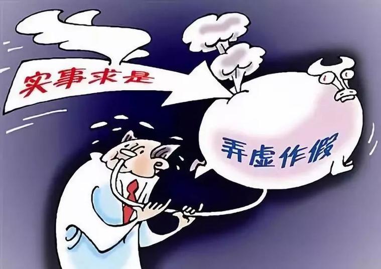 向审计提供不真实资料是什么意思？扶贫项目虚假审计-图3