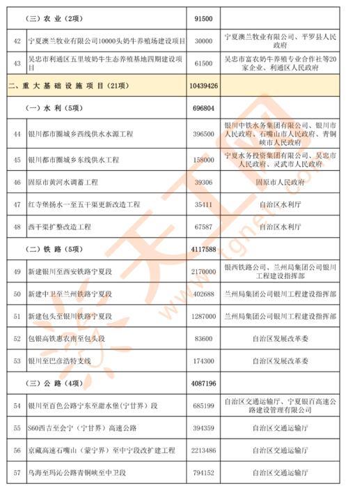 宁夏十大工程项目？投资示范项目清单-图2