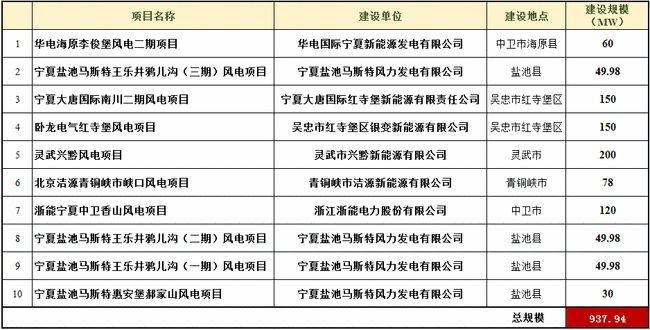 宁夏十大工程项目？投资示范项目清单-图3