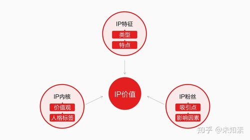 ip价值实现路径？战略签ip项目-图1