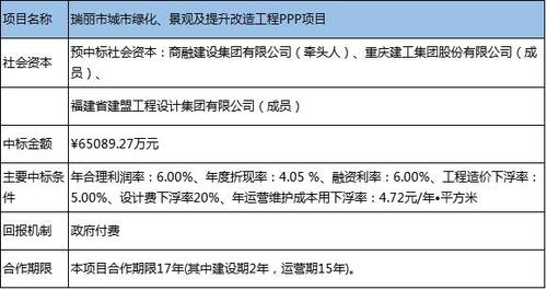 ppp项目价钱怎么算？ppp项目核算规范-图3