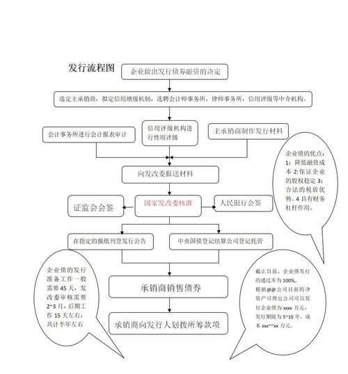 医院债券发行流程？发改委科技项目专项-图1