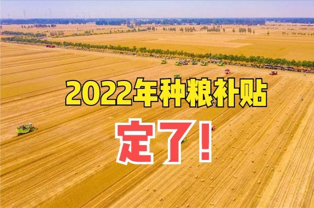 2022年一次性种粮补贴是多少？农发资金项目-图2