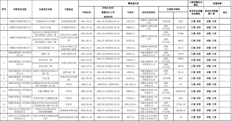 国家一级广告公司的标准？广告项目业绩表-图2