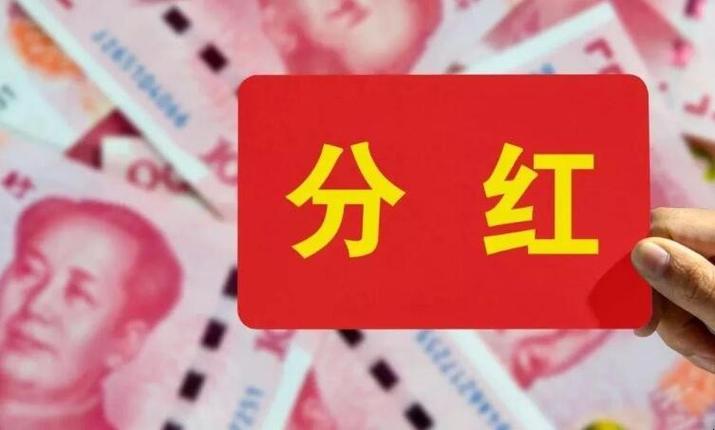 请教高手——关于基金分红的优缺点~~？分红项目的优点-图2