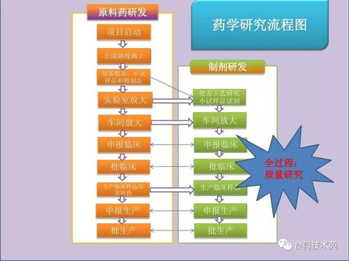 新药研发的四个阶段？新药开发项目管理-图2