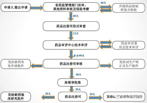 新药研发的四个阶段？新药开发项目管理-图3