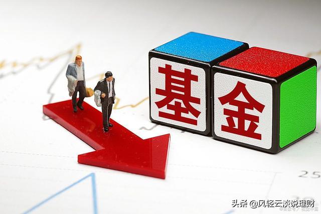 基金红利再投份额为什么不增加？政府项目  追加投资-图2