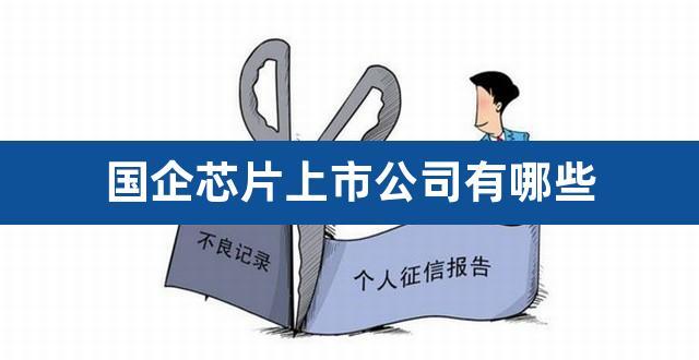 国企芯片上市公司有哪些？近期国企上市项目-图3