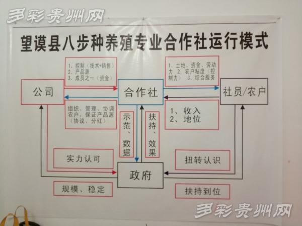 向前农场的运营模式是怎样的？环保项目运行模式-图2