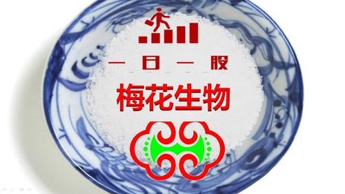 梅花生物主要产品是什么？梅花生物项目-图2