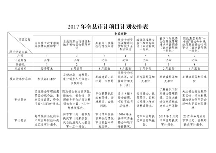 审计计划包括哪些内容？企业项目审计计划-图2