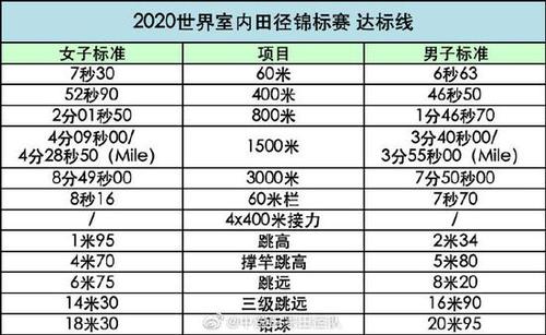 田赛和径赛分别包括哪些项目？企业项目来源是-图3