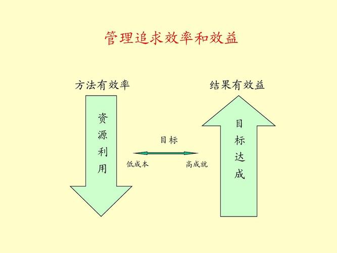 为什么效益优先而不是效率？项目投资 效益优先-图1