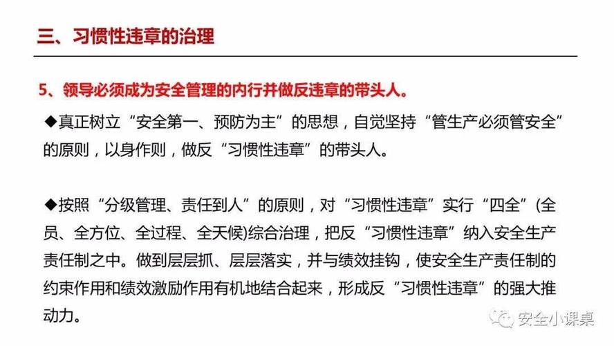 安全主体责任落实不到位存在问题？风险项目处置不力-图2