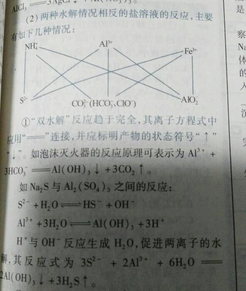 老师偏铝酸根和碳酸氢根反应的机理是怎样的双水解吗？提高项目响应机制-图1