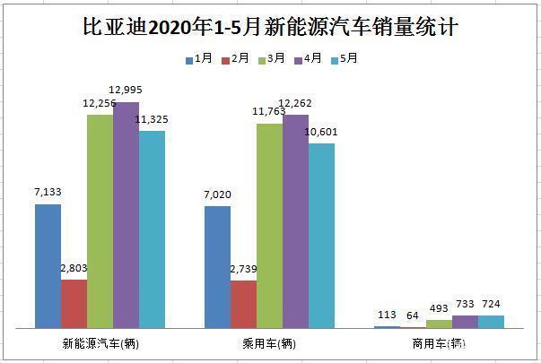 比亚迪海外销量？比亚迪海外项目-图3