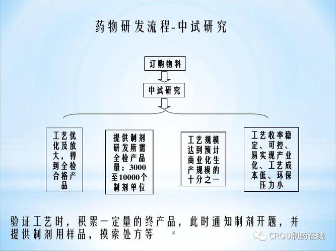 药品研发与生产流程？仿制药项目流程-图3