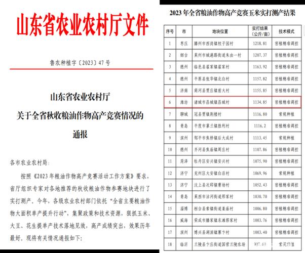 诸城市2023年地力保护补贴是多少？诸城土地整改项目-图1