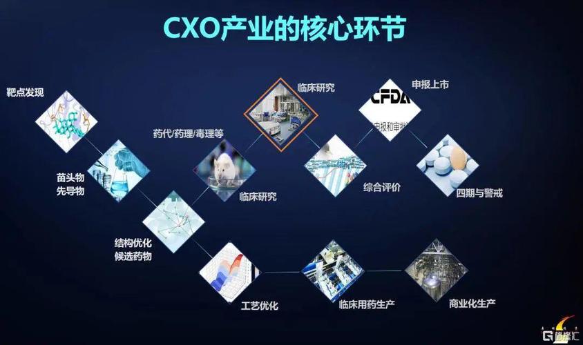 CXO和CRO的区别？cro项目指什么-图1