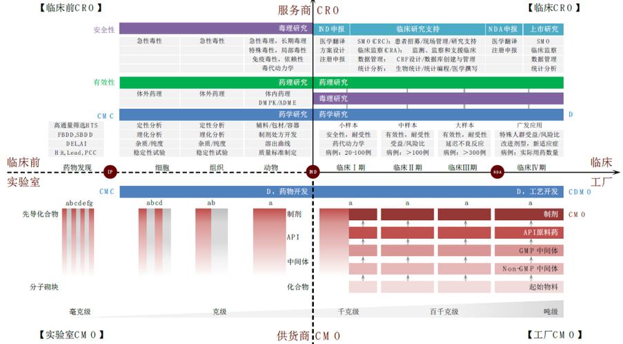 CXO和CRO的区别？cro项目指什么-图3