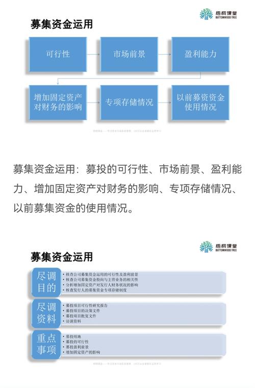 募投的意思？募投项目 ipo-图3