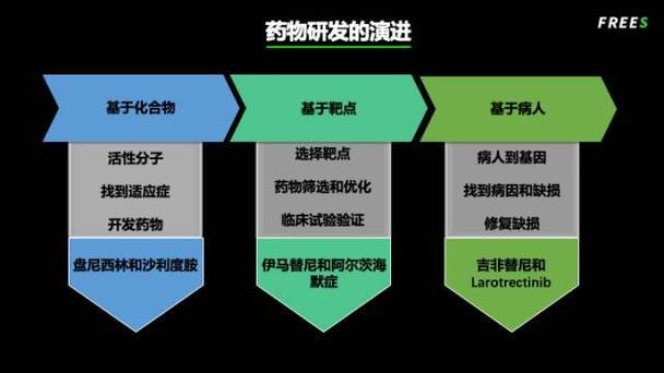 药品研发需要经历哪些阶段？医药研发项目经验-图3