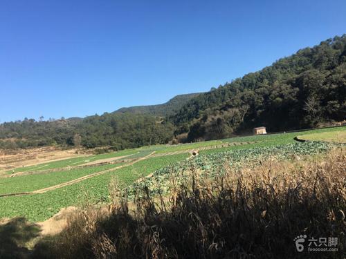 请问红河州的最高处是什么山？民生通海 投资项目-图2