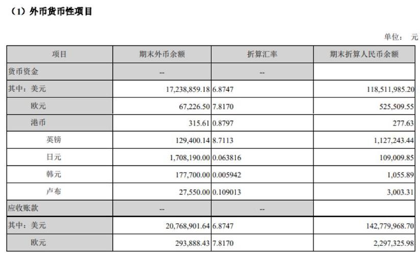 什么是现汇项目？货币性项目特征-图2