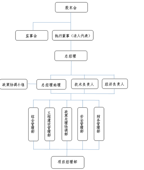 什么是，项目主管部门、什么又是项目建设单位？项目管理公司部门-图2