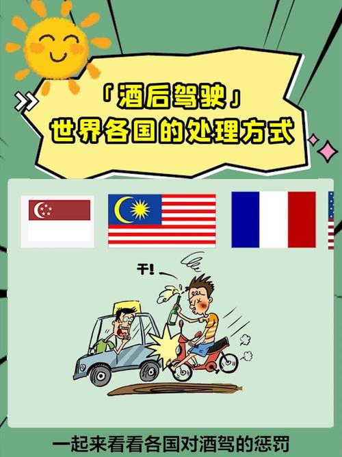 酒驾处罚最严重的国家？海外项目被罚-图3