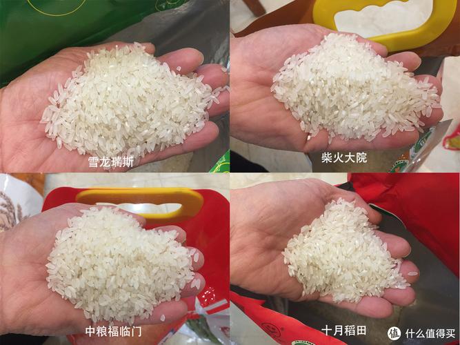 九粮大米好吗？银川众筹项目-图2