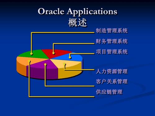 oracle是什么财务系统？多层项目财务评价-图3