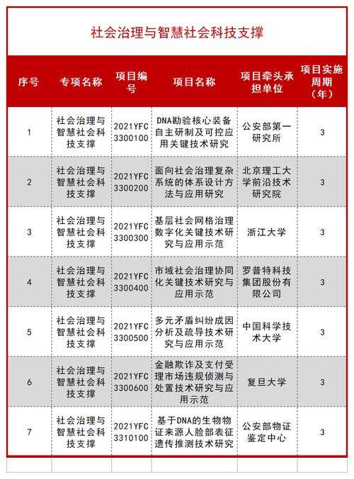 2021年国家重点项目名单？业务系统研发项目-图2