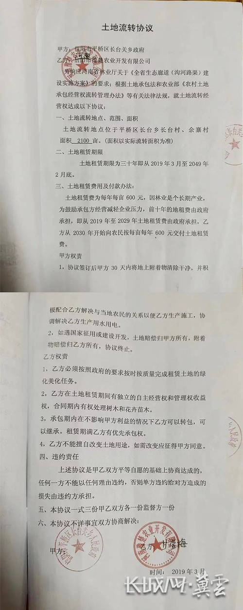 上级林业专项资金可以聘用临时护林员吗？挪用林业项目资金-图2