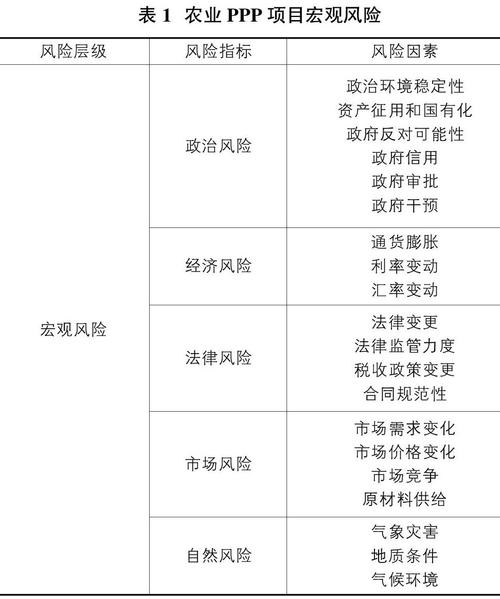 ppp项目的主要风险有？ppp项目的危害-图2