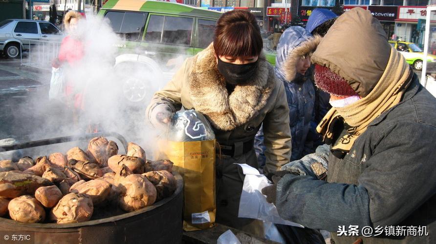 冬天冷冻经营项目,哪些最好销售赚钱？冬季销售好项目-图2