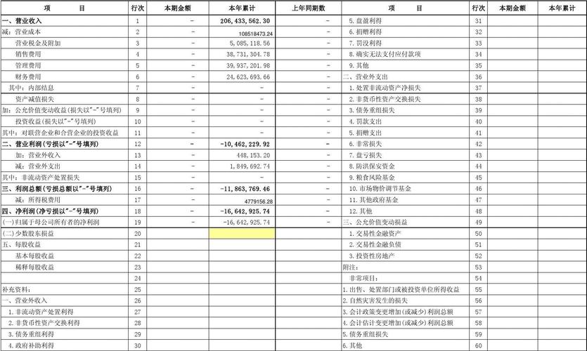 仅属于企业合并报表的项目有？报表项目有-图1