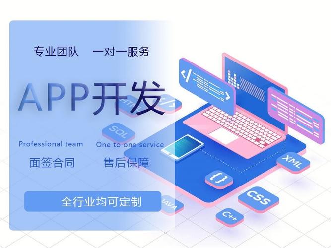 原诚创新app可靠吗？软件项目创新报告-图1