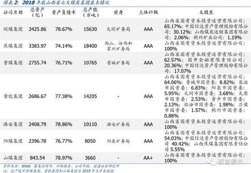 山东七大矿业集团是哪些？山东矿产项目投资-图3