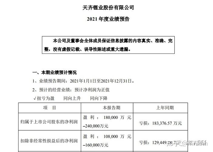 天齐锂业2021一季度业绩报告？季度项目投资汇报-图2