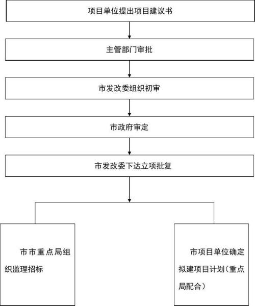 建设工程立项流程？发改委 项目建设程序-图3