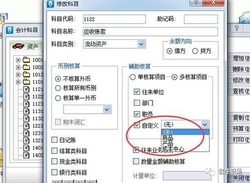 请问金蝶软件中上的核算项目怎么设置呢？项目公司科目设置-图3